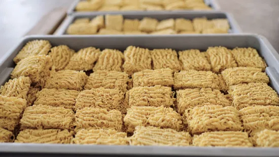 Nouilles instantanées de tasse de ramen de blé entier halal de fournisseur d'usine chinoise